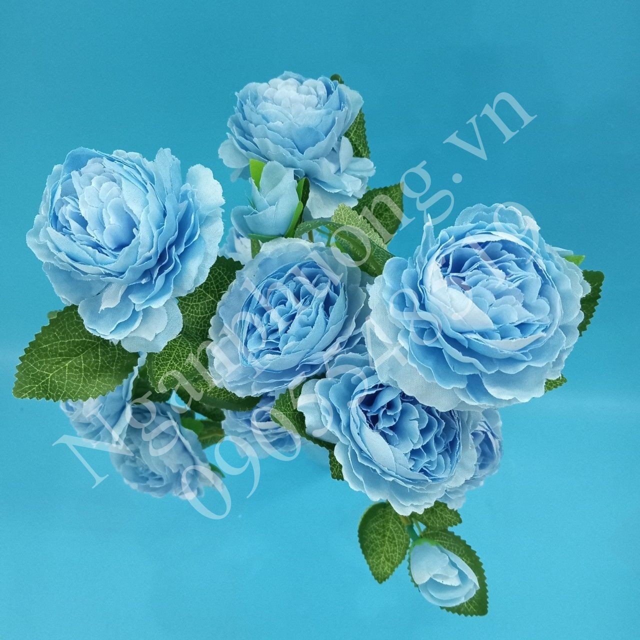 www.nganphuong.vn