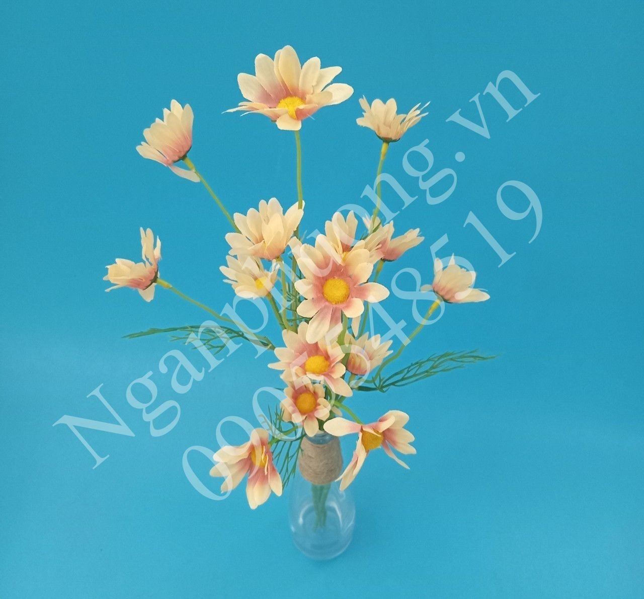 www.nganphuong.vn