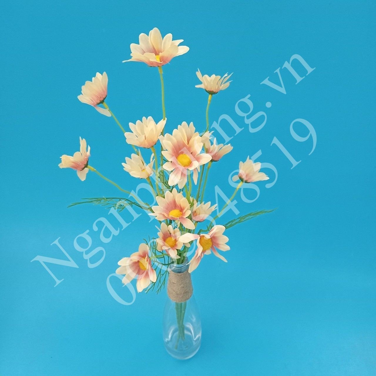www.nganphuong.vn