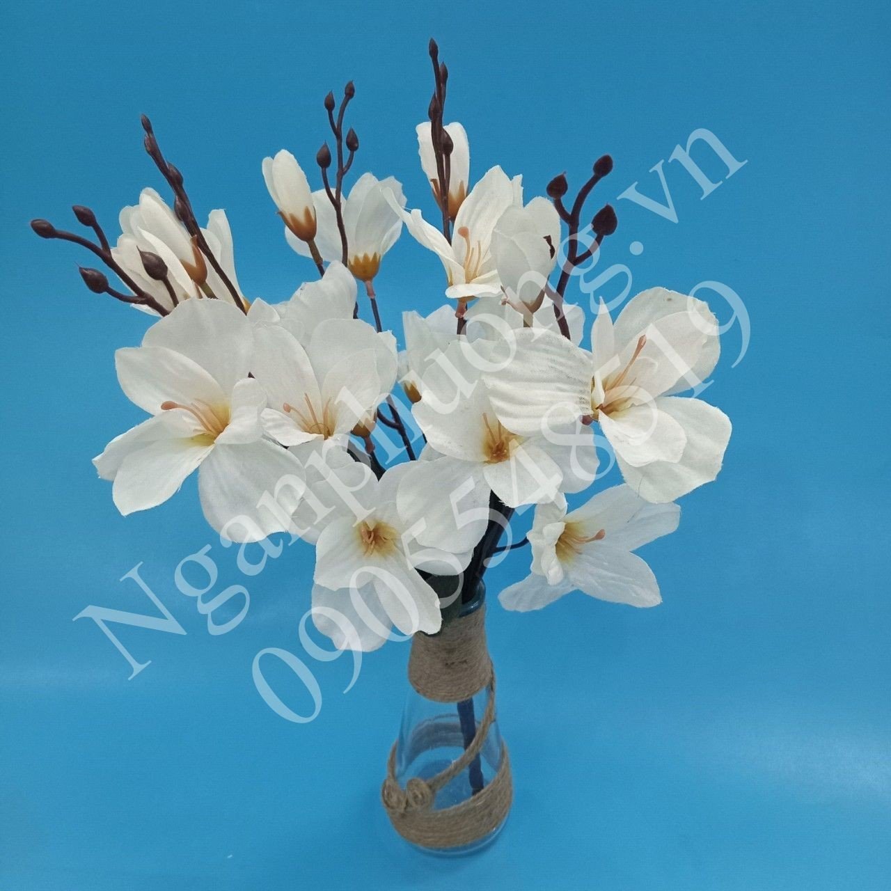 www.nganphuong.vn