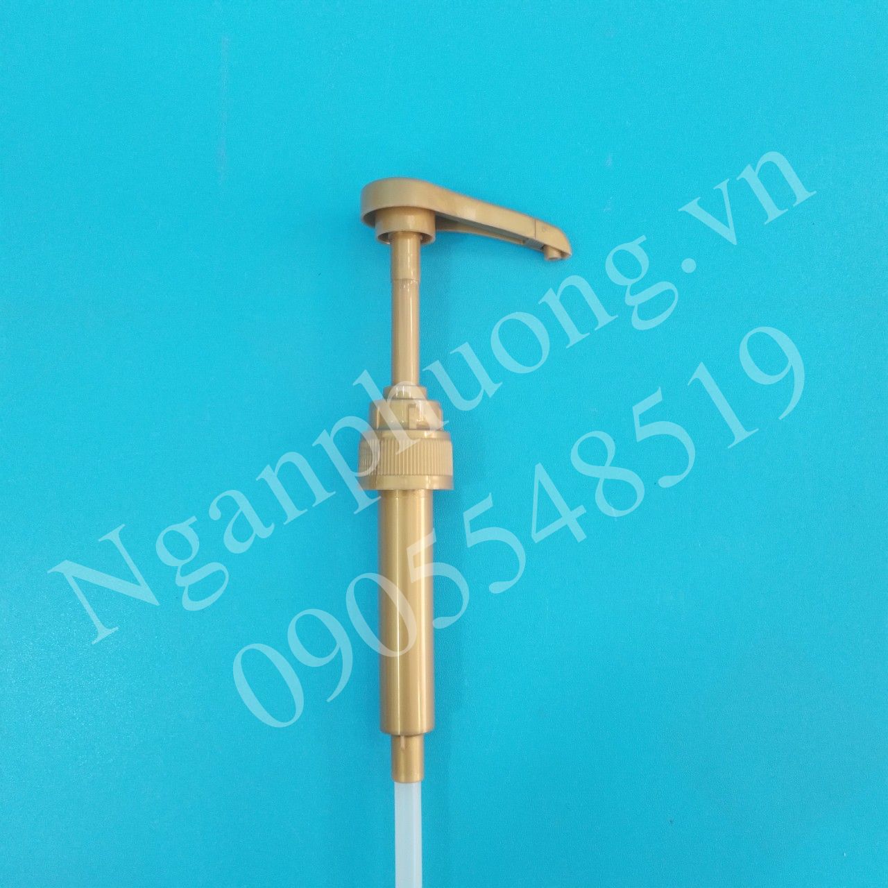 www.nganphuong.vn